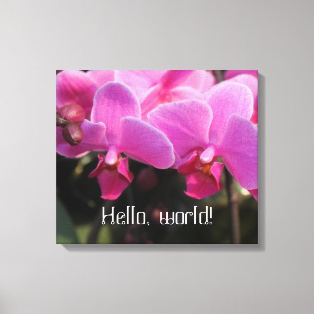 Lienzo hola mundo flores de orquídea rosa (Anverso)