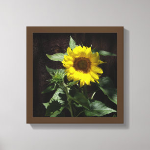 Lienzo Hola Sunshine - Lona de diseñador girasol gigante