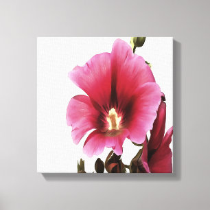 Lienzo Hollyhock Rosa Celestial Flor Malva Floral