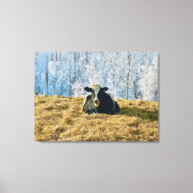 Lienzo Holstein Calf en Frosty Alberta Morning (Anverso)