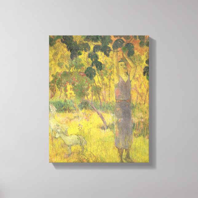 Lienzo Hombre recogiendo fruta de un árbol, 1897 (Anverso)