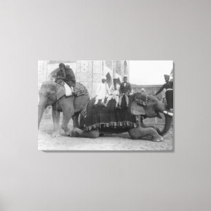 Lienzo Hombres que montan elefantes en la India