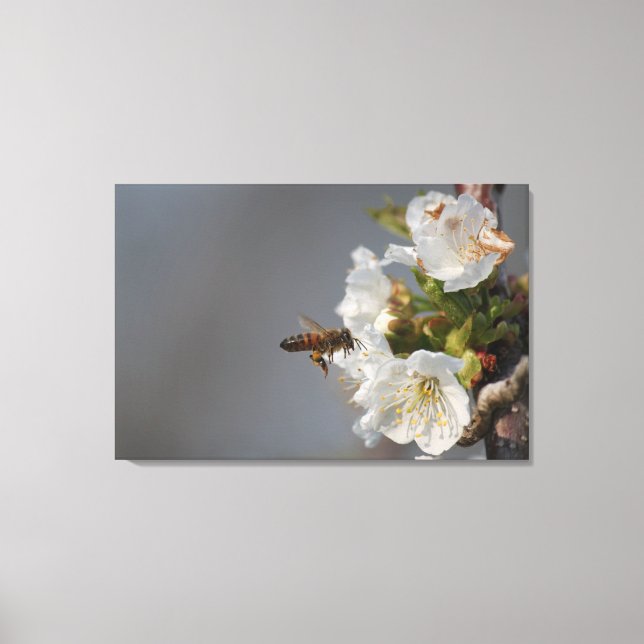 Lienzo Honey Bee (Anverso)