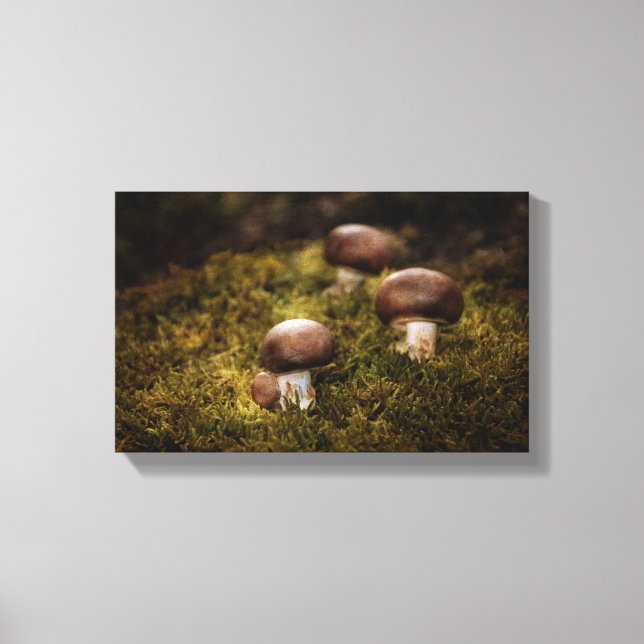 Lienzo Hongos en el bosque (Anverso)