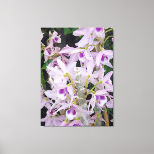 Lienzo Honohono Orchids