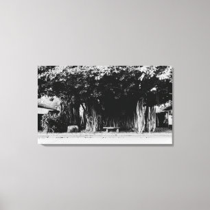 Lienzo Honolulu, Hawaii - el árbol de la salchicha