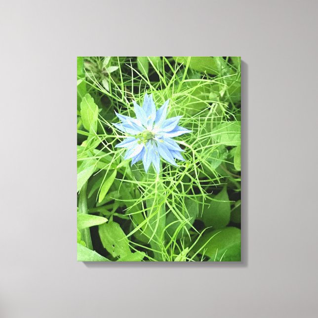 Lienzo Hope 16 x 20 (Anverso)