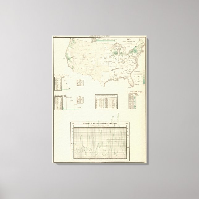 Lienzo Hops (Anverso)