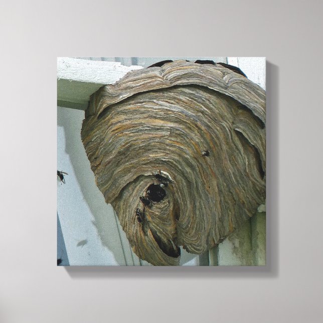 Lienzo Hornets Nest (Anverso)