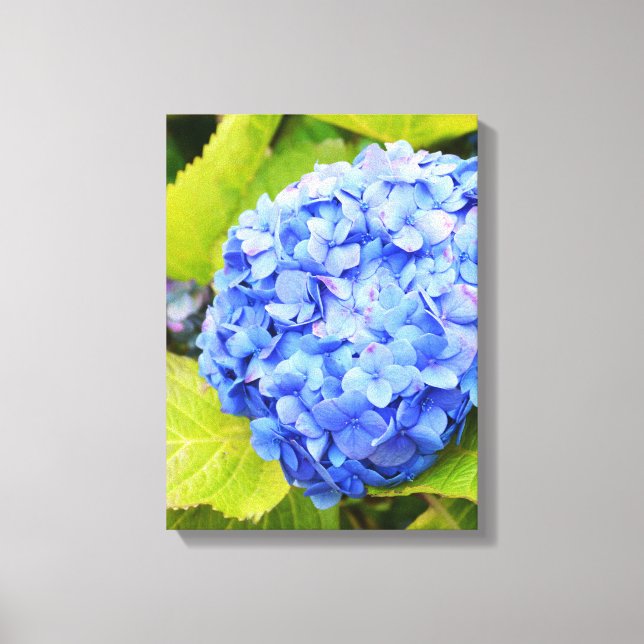 Lienzo Hortensia azul (Anverso)