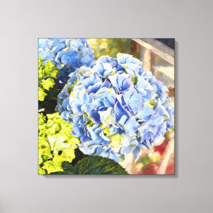 Lienzo Hortensia Azul Iluminada por el Sol Jardín de Camp