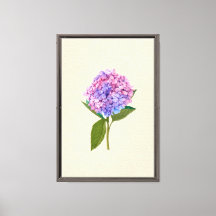 Hortensia Vintage
