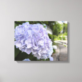 Lienzo Hortensias al borde de la carretera – Fotografía d