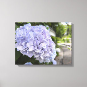 Lienzo Hortensias al borde de la carretera – Fotografía d