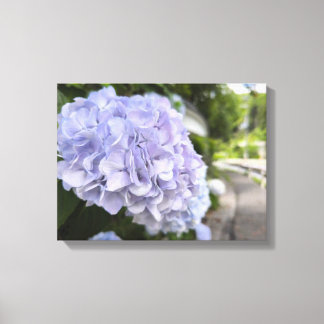 Lienzo Hortensias al borde de la carretera – Fotografía d