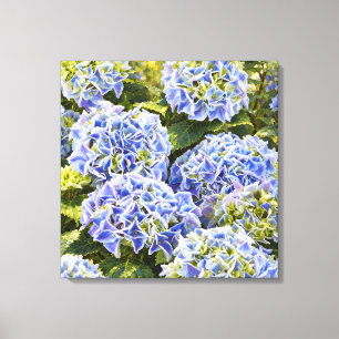 Lienzo Hortensias Azules en Luz de Jardín Dorado