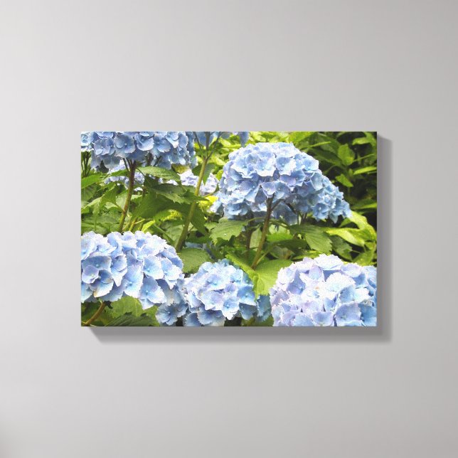 Lienzo Hortensias Azules Profundas (Anverso)