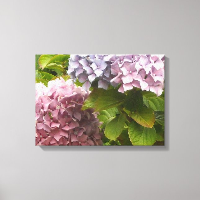 Lienzo Hortensias de Pastel (Anverso)