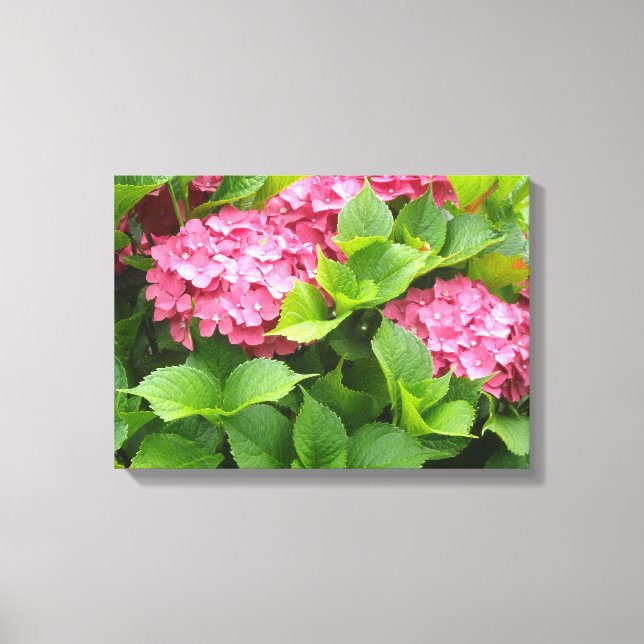 Lienzo Hortensias Rosa Brillante (Anverso)