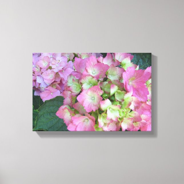 Lienzo Hortensias rosadas elegantes (Anverso)