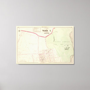 Lienzo Hospital del mayordomo para el mapa insano del