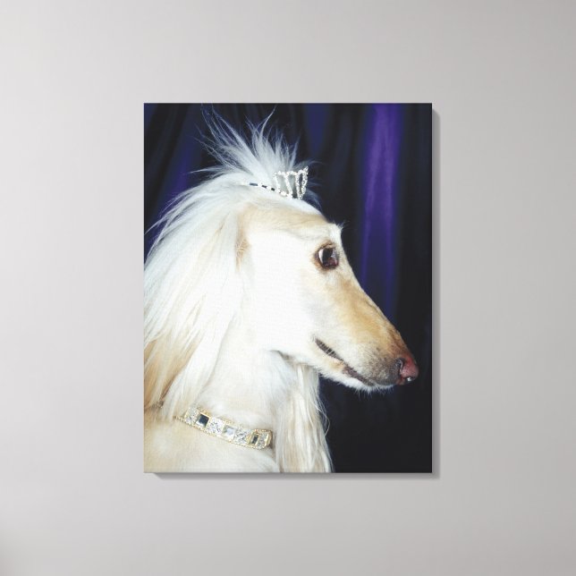 Lienzo Hound afgano usando Tiara (Anverso)