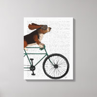 Hound Basset en la bicicleta