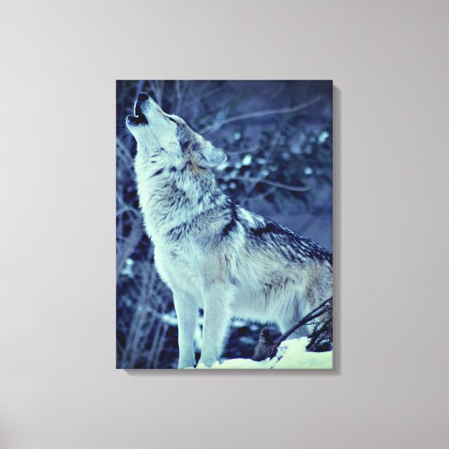 Lienzo Howling Wolf Winter Forest (Anverso)