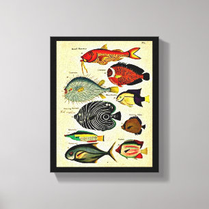 Lienzo huella de pescado antiguo