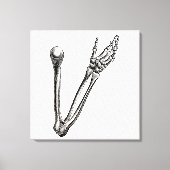 Lienzo Huesos Retro Personalizados De Óxido De Brazo De E (Anverso)