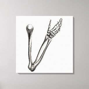 Lienzo Huesos retros personalizados esqueléticos del