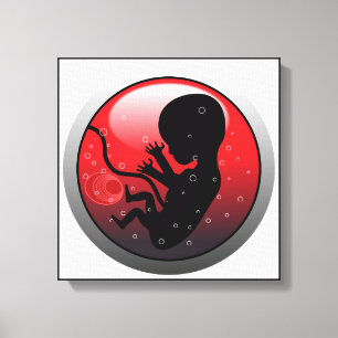 LIENZO HUMAN BABY EMBRYO