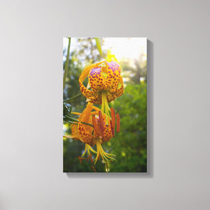 Lienzo Humboldt Lily