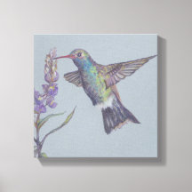 Humming Bird Streaming Print