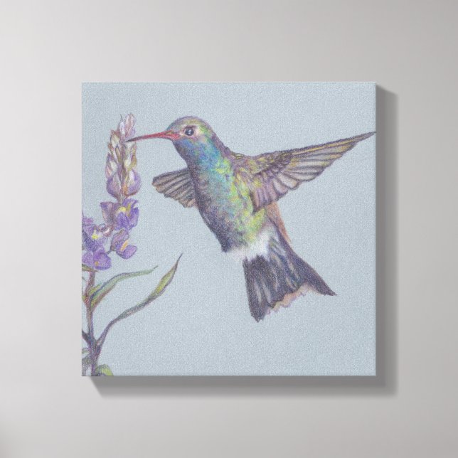 Lienzo Humming Bird Streaming Print (Anverso)