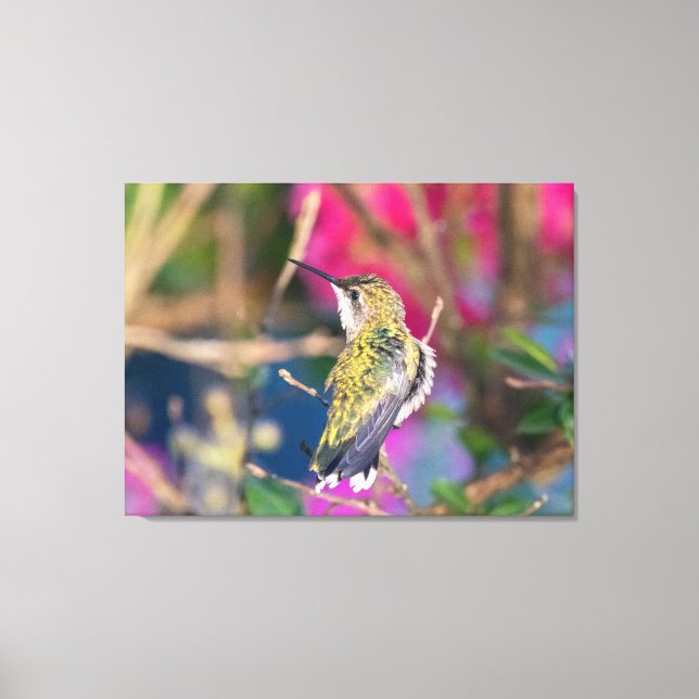 Lienzo Hummingbird (Anverso)