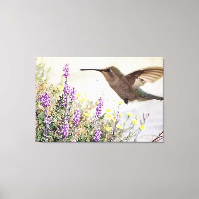 Lienzo Hummingbird and Wildflowers Digital Art (Anverso)