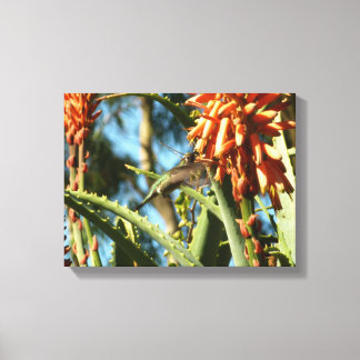 Lienzo Hummingbird de color negro en vuelo