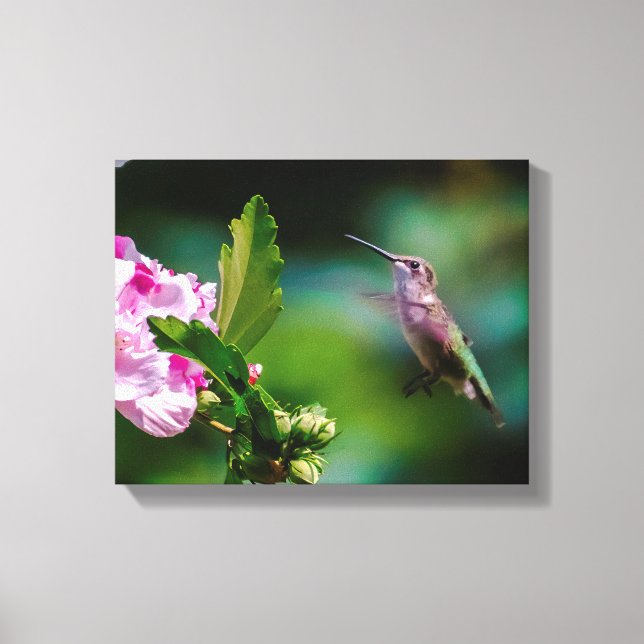 Lienzo Hummingbird - Fotografía original (Anverso)