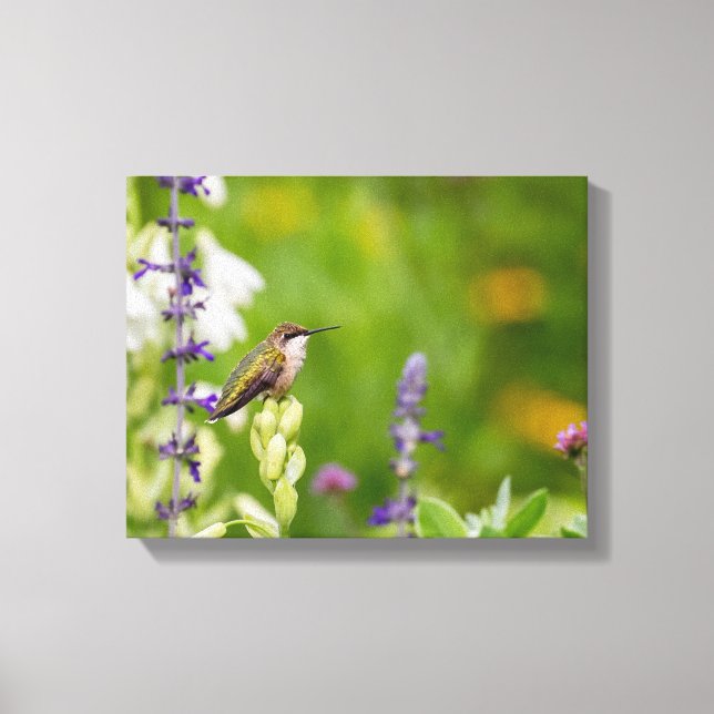 Lienzo Hummingbird Rest (Anverso)