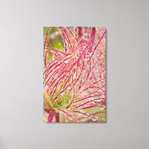 Lienzo Humo Prairie bajo la lluvia en Theodore