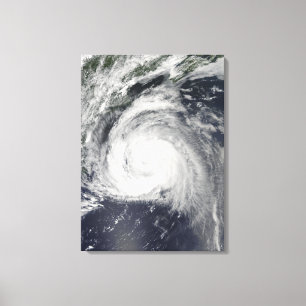 Lienzo Huracán Bill de la costa este