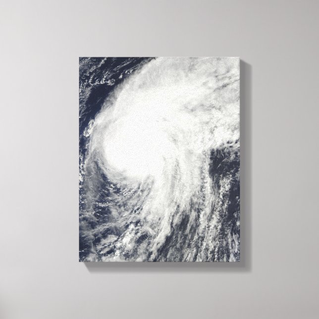 Lienzo Huracán Otto (Anverso)