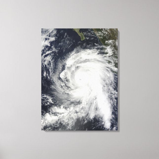 Lienzo Huracán Rick al suroeste de Baja California (Anverso)