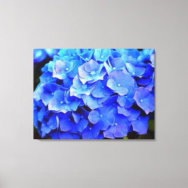 Lienzo Hydrangea Blues