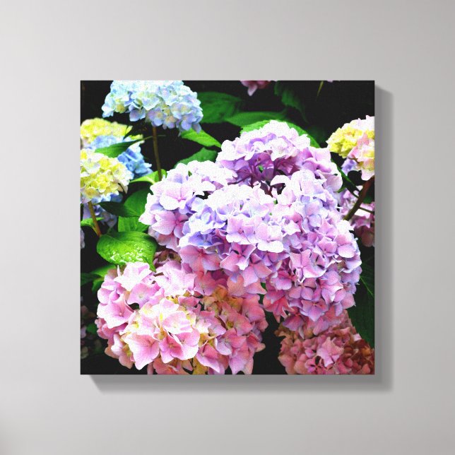 Lienzo Hydrangea garden, rosa, azul, violeta floral (Anverso)