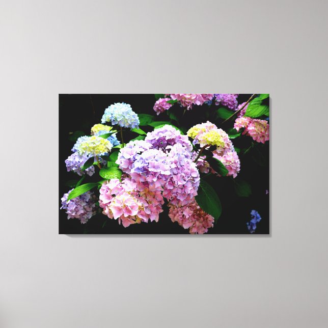 Lienzo Hydrangea garden, rosa, azul, violeta floral (Anverso)