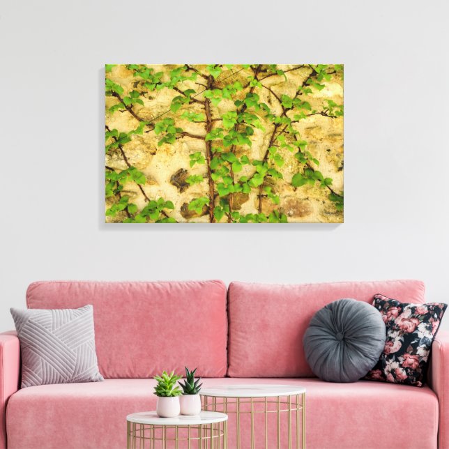Lienzo Hydrangea petiolaris (Insitu (Sala de estar))