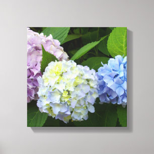 Lienzo Hydrangeas