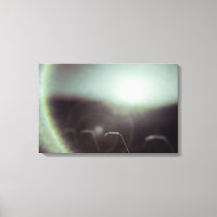 Icy Sun de Alexandra Cook